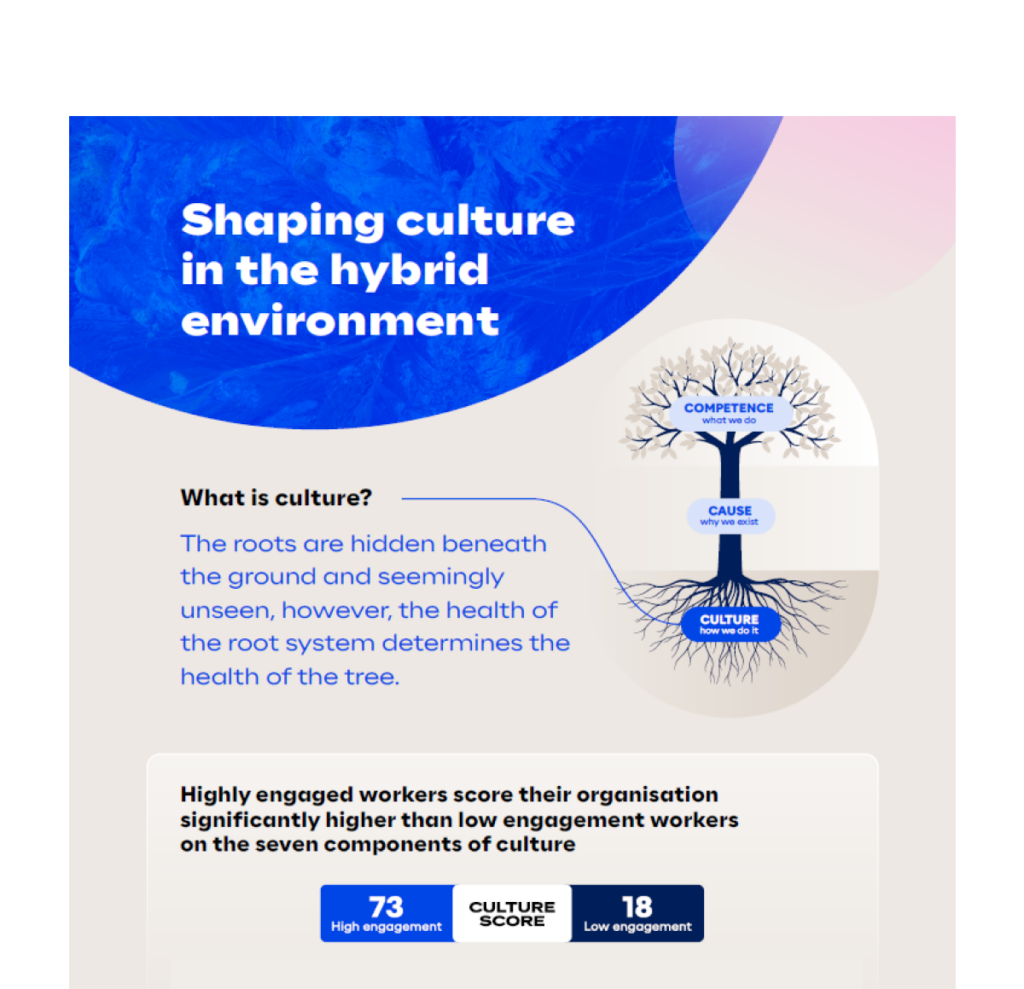 Shaping Culture infographic snippet